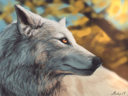 Обои на рабочий стол Волк на размытом фоне, by Minea Juntura