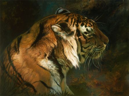 Обои на рабочий стол Тигр в профиль, художник Julie Bell