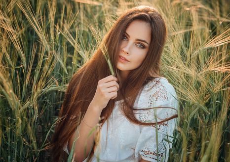 Обои на рабочий стол Модель Катерина сидит в колосистом поле, фотограф Evgeny Freyer