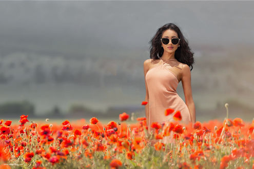 Обои на рабочий стол Девушка в солнцезащитных очках стоит в поле маков, фотограф Mark Crislip