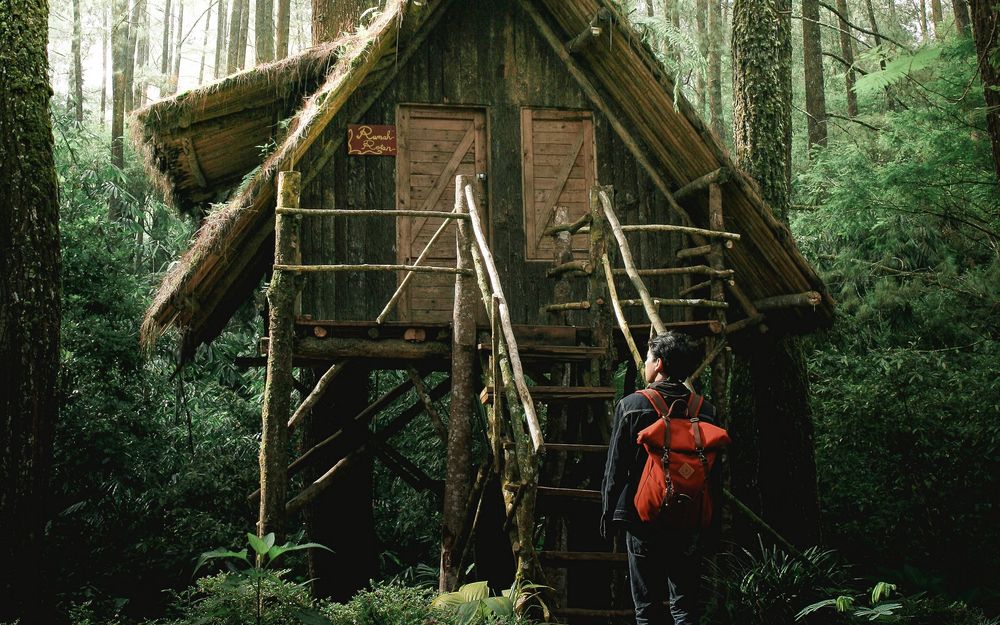 Обои для рабочего стола Юноша с рюкзаком стоит перед лесным домиком на сваях на фоне леса