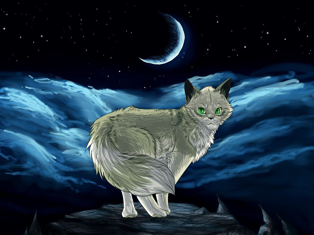 Обои для рабочего стола Недовольный чем - то серый кот с зелеными глазами на фоне ночного неба и бледного серпа луны