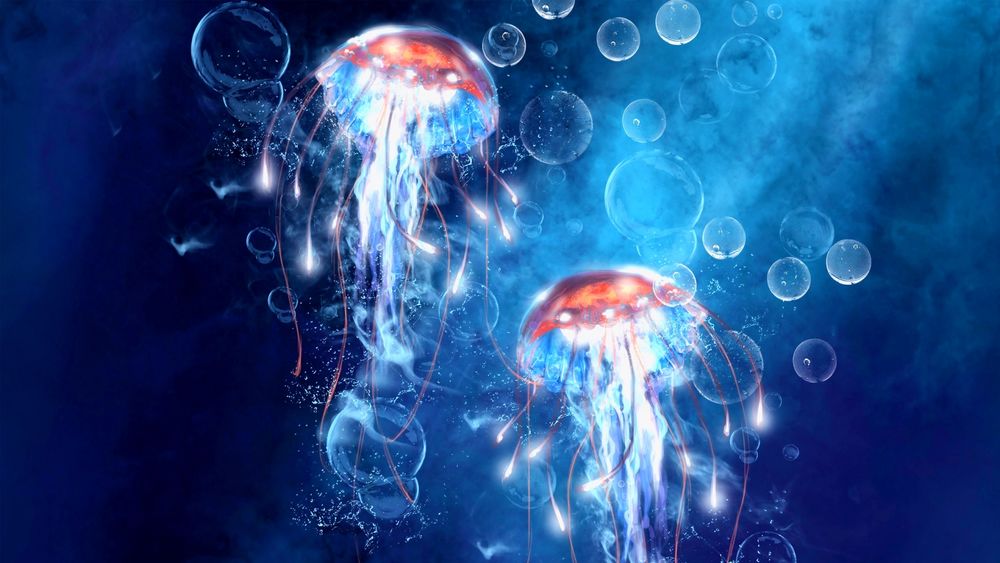 Обои для рабочего стола Две медузы под водой