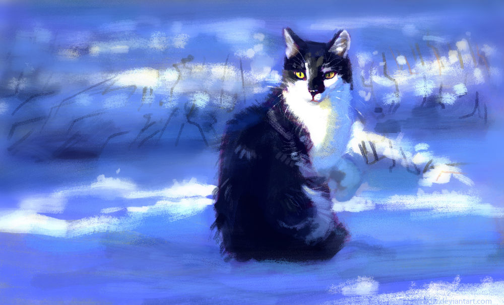 Обои для рабочего стола Кошка сидит на снегу, by Meorow