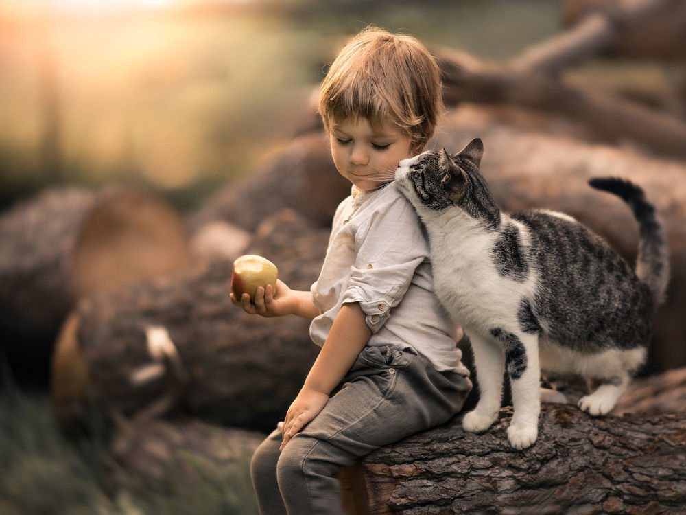 Обои для рабочего стола Мальчик с яблоком в руке сидит рядом с кошкой. Фотограф Iwona Podlasinska