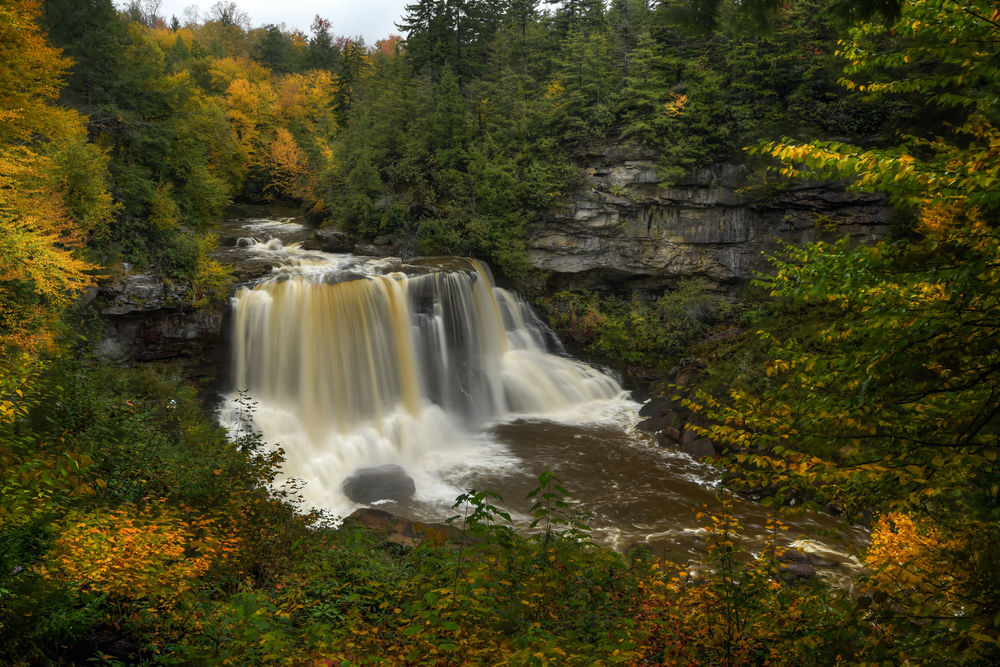 Обои для рабочего стола Водопад в лесу, Blackwater Falls, West Virginia / Блэкуотер-Фолс, Западная Вирджиния, by Brandon Kopp