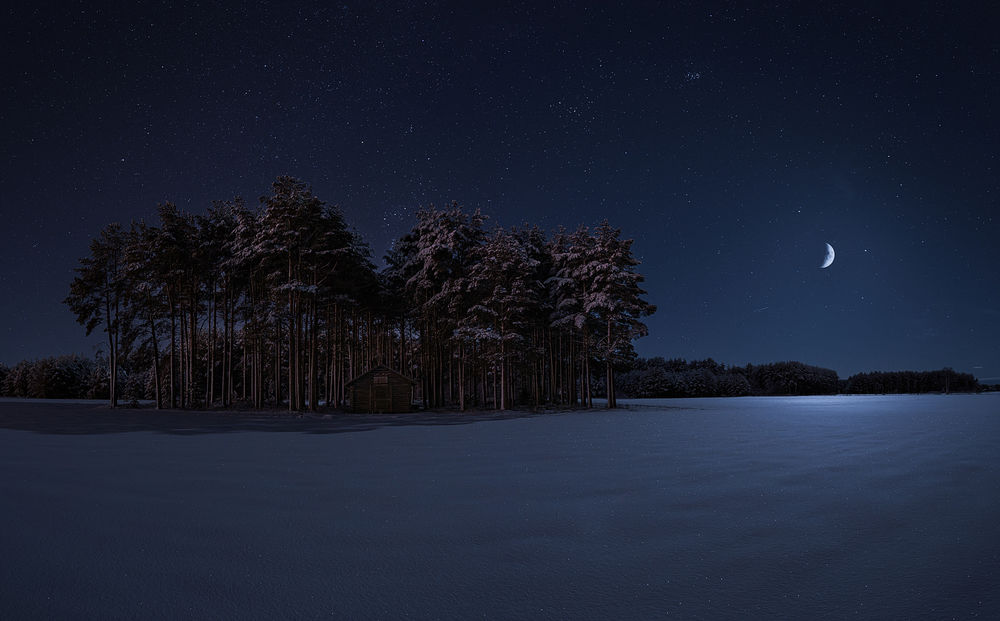 Обои для рабочего стола Сторожка среди сосен на окраине леса зимней лунной ночью, by M. T. L Photography