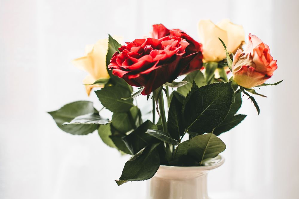 Обои для рабочего стола Красные и светлые розы в вазе