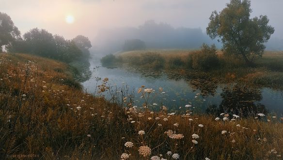 Обои на рабочий стол Туманное утро, фотограф Виктор Перякин