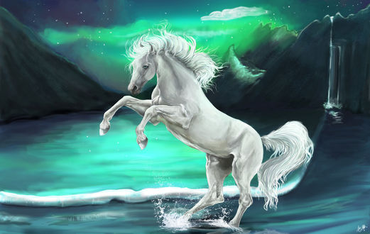 Обои на рабочий стол Белая лошадь стоит на дыбах, by Alex Maybloom