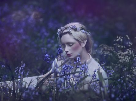 Обои на рабочий стол Девушка в венке лежит в цветах, by A. M. Lorek Photography