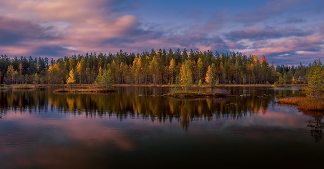 Обои на рабочий стол Осенний лес на берегу реки, фотограф Evalds Kivlenieks