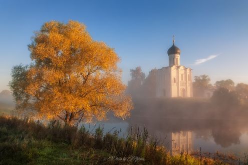Обои на рабочий стол Утро на реке Нерль с видом на храм, фотограф Алексей Самойленко