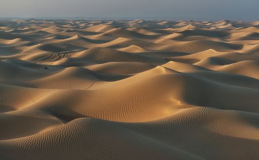 Обои на рабочий стол Пустыня Аравийского полуострова, United Arab Emirates / ОАЭ, фотограф Андрей Грачев