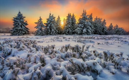 Обои на рабочий стол End of a beautiful winter day / Конец прекрасного зимнего дня, Germany / Германия, фотограф Alexander Lauterbach