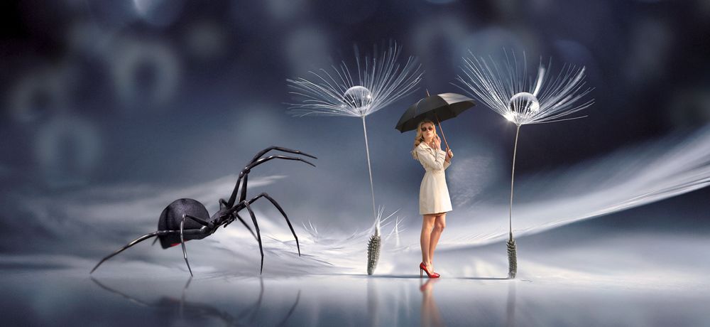 Обои для рабочего стола Девушка с зонтиком среди громадных семян и паука, размытый фон, by Stefan Keller