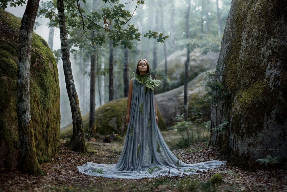 Обои для рабочего стола Девушка в длинном платье стоит в лесу. Фотограф Irina Dzhul