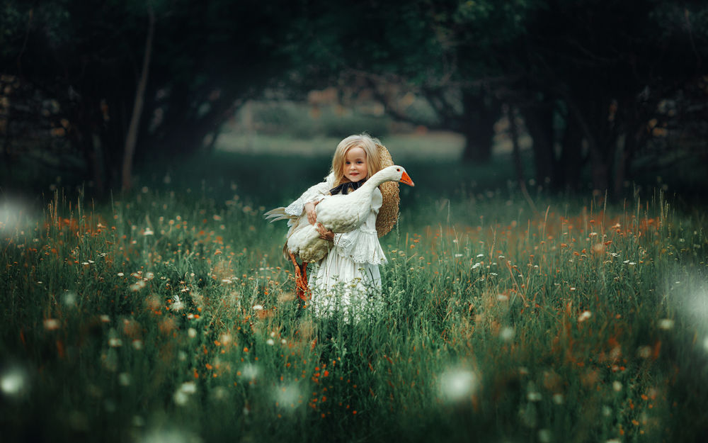 Обои для рабочего стола Девочка с гусем на руках на лесной поляне, фотограф Мытник Валерия