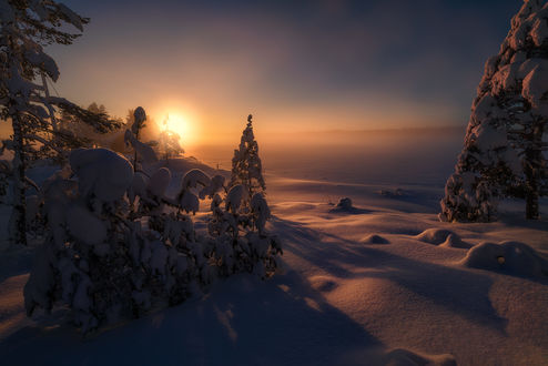 Обои на рабочий стол Зимний восход солнца на Ringerike, Норвегия / Ringerike, Norway, фотограф Ole Henrik Skjelstad