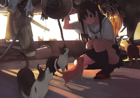 Обои на рабочий стол Девочка сидит перед кошками, by morifumi