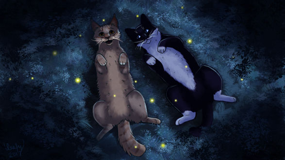 Обои на рабочий стол Crowfrost / Враноклюв и Dawnfrost / Рассвет из романа Коты-Воители / Warriors, by Streamwhisker