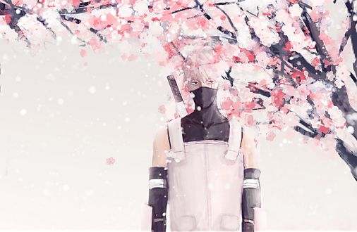Обои на рабочий стол Какаши Хатаке / Kakashi Hatake в форме ANBU стоит под цветущей сакурой из аниме Наруто / Naruto