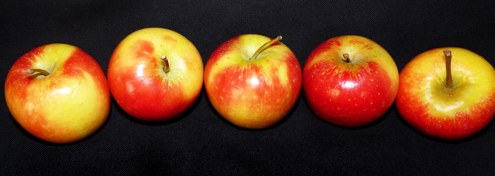 Обои для рабочего стола Краснобокие яблоки на темном фоне, by Beverly Buckley
