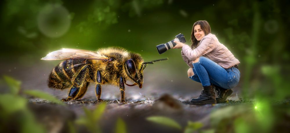 Обои для рабочего стола Улыбающаяся девушка с фотокамерой сидит рядом с громадной пчелой, фотошоп, by Stefan Keller