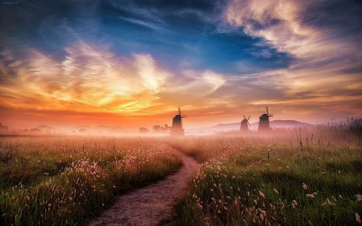 Обои на рабочий стол Мельницы в тумане на рассвете. Фотограф Jaewoon U