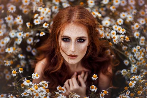 Обои на рабочий стол Девушка Svenja Lugano Mureno в ромашках, фотограф Melanie Dietze