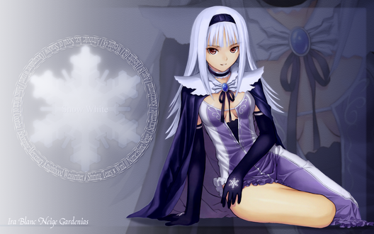 Обои на рабочий стол Aira Blanc Neige Galdinius / Ira Blanc Neige Gardenias из серии аниме и игр Shining Tears (Snow White)