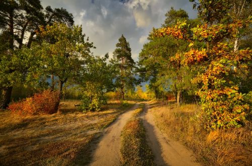 Обои на рабочий стол Приглашение в осень, фотограф Нeger / Роман