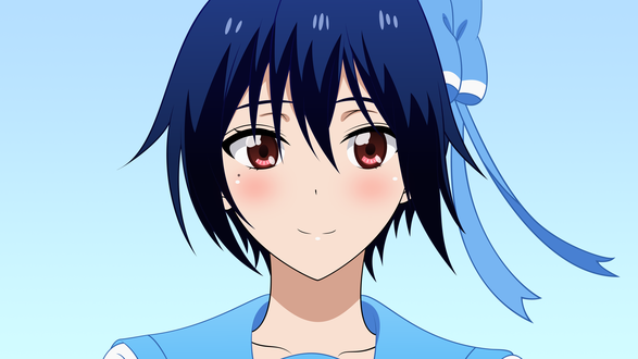 Обои на рабочий стол Seishirou Tsugumi / Сэйширо Цугуми из аниме Nisekoi / Притворная любовь, by Starsilvery