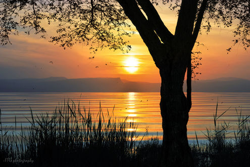 Обои на рабочий стол Закат на пляже Dugit Beach, Sea of Galilee, Israel / Дугит, Галилейское море, Израиль, by ITG photography