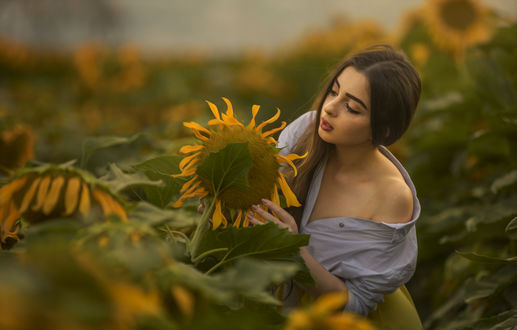 Обои на рабочий стол Модель Светлана стоит у подсолнуха, фотограф Alex Darash
