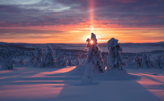 Обои на рабочий стол Зимний закат солнца. Фотограф Jоrn Allan Pedersen