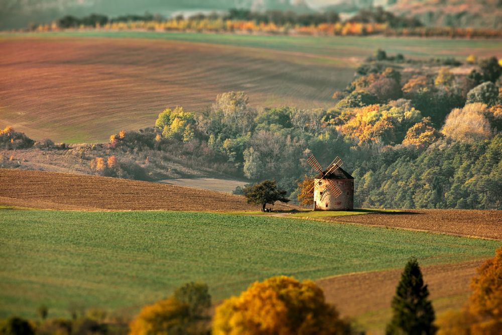 Обои для рабочего стола Мельница на Moravian Fields / Моравских полях, Czech Republic / Чешская республика, фотограф Александр Перов