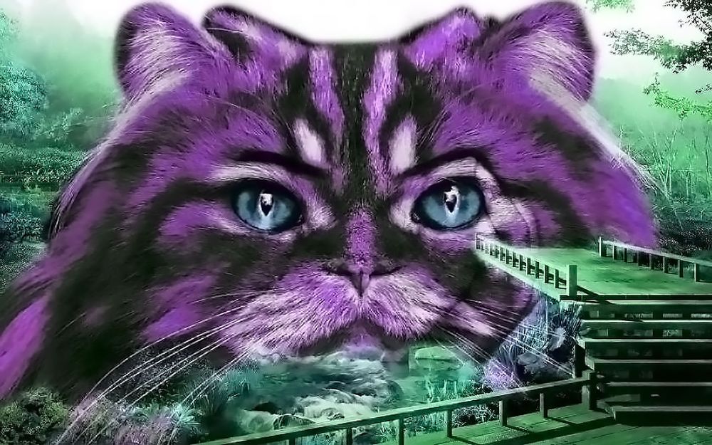 Обои для рабочего стола Мордочка фантастического сиреневого кота, by Cari R