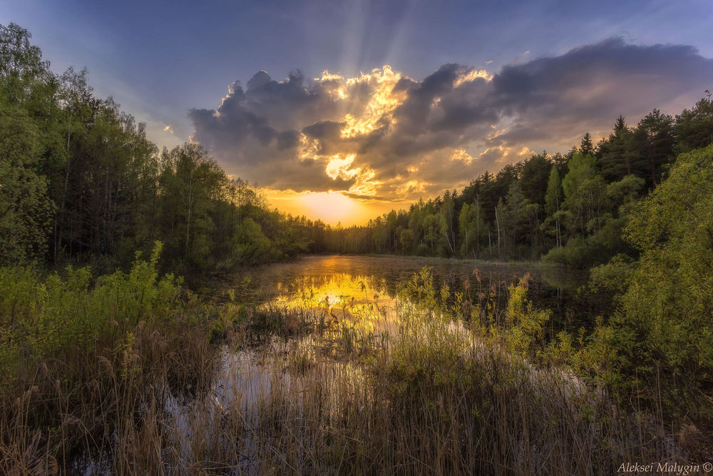Обои для рабочего стола Весенний закат на озере в лесу. Фотограф Aleksei Malygin