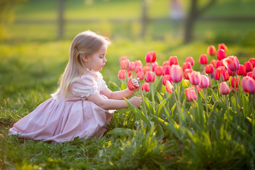 Обои для рабочего стола Маленькая девочка сидит у тюльпанов