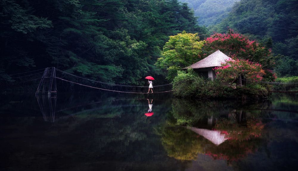 Обои для рабочего стола Девушка с зонтом идет по навесному мостику через пруд, из беседки, вдоль деревьев летом, фотограф Jaewoon U