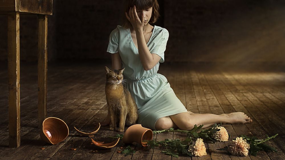 Обои для рабочего стола Девушка с кошкой сидит на полу, by Вячеслав Щербаков