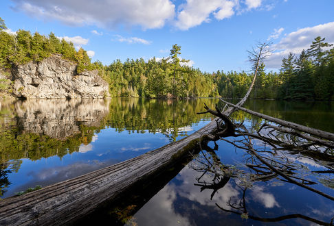 Обои на рабочий стол Лес на скалах у озера и на переднем плане старые поваленные деревья в воде. Фотограф G A S