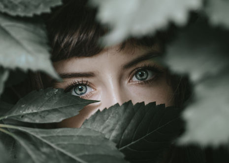 Обои на рабочий стол Лицо девушки за листвой. Фотограф Michael Nguyen