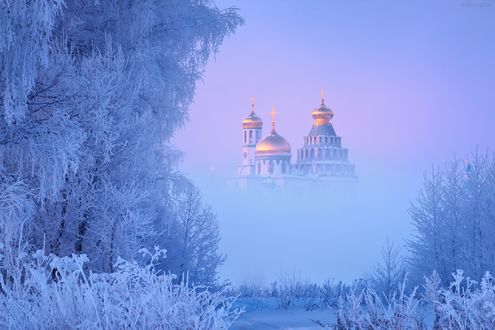 Обои на рабочий стол Деревья, покрытые инеем, на фоне Новоиерусалимского монастыря в тумане, фотограф Михаил Дубровинский