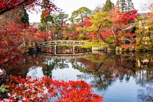 Обои на рабочий стол Каменный мост, пруд и беседка в осеннем парке, Japan / Япония