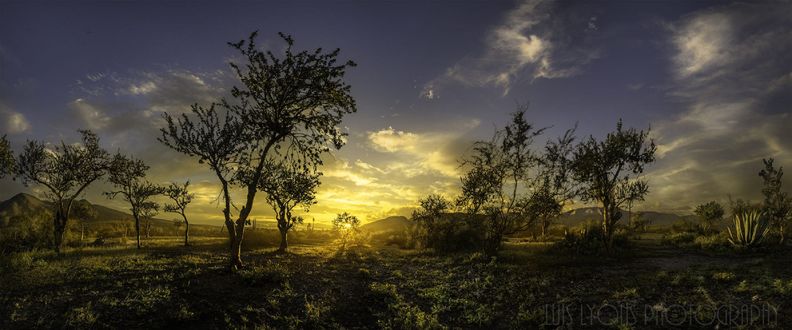Обои на рабочий стол Golden Light Valley / Долина Золотого Света, фотограф Luis Lyons