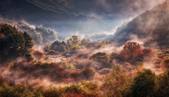 Обои на рабочий стол Легкий туман над осенней природой. Фотограф Jaewoon U