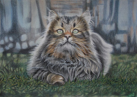 Обои на рабочий стол Рисованный кот лежит на траве, by Mishice