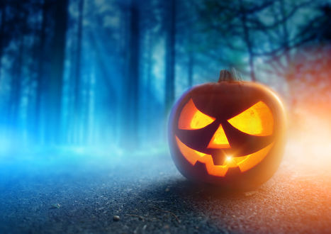 Обои на рабочий стол Светильник Джека из тыквы к Хэллоуину / Halloween на фоне леса